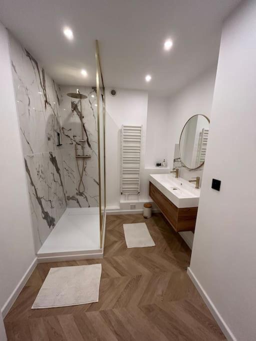 Appartement De Charme Hyper Centre ルマン エクステリア 写真